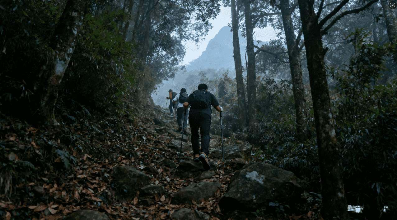 全面解析电信免费VPN服务器推荐与使用指南，保障网络安全与隐私